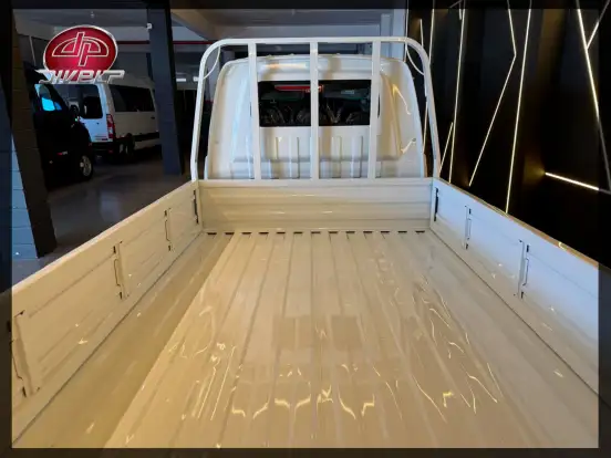 SHINERAY-DTRUCK-2026