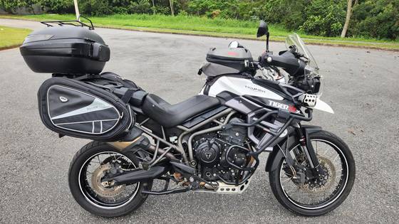 TRIUMPH TIGER 800 XCX 