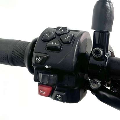 TRIUMPH-TRIDENT 660-2024