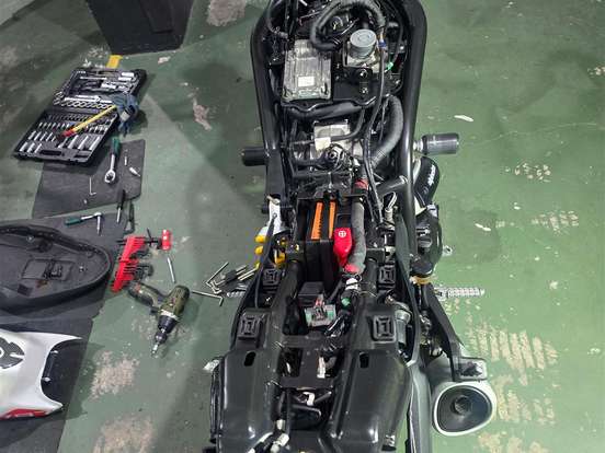 DUCATI-MONSTER 797 DUCATI-MONSTER 797-2019