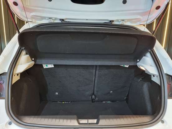 FIAT-PULSE-2024