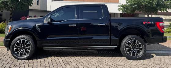 FORD F-150 5.0 V8 GASOLINA CD PLATINUM FX4 AUTOMÁTICO