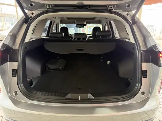 GWM-HAVAL H6-1.5 PHEV19 E-TRACTION GWM-HAVAL H6-2025