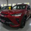 GWM HAVAL H6 GT 1.5 PHEV AWD E-TRACTION GWM HAVAL H6 GT 1.5 PHEV AWD E-TRACTION