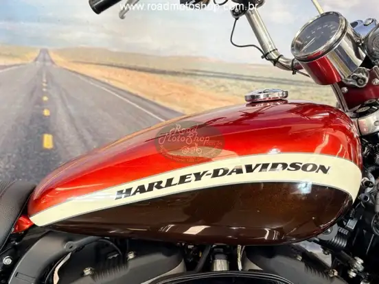 HARLEY-DAVIDSON-SPORTSTER 1200 CUSTOM CA LIMITED HARLEY-DAVIDSON-SPORTSTER 1200 CUSTOM CA LIMITED-2012