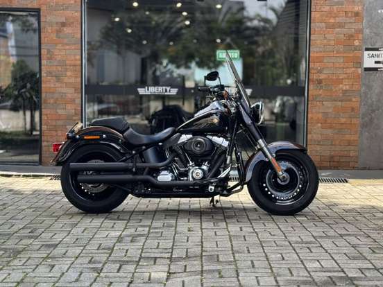 HARLEY-DAVIDSON-FAT BOY 110th SPECIAL ANNIVERSARY EDITION HARLEY-DAVIDSON-FAT BOY 110th SPECIAL ANNIVERSARY EDITION-2013