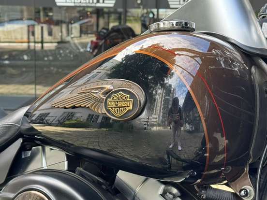 HARLEY-DAVIDSON-FAT BOY 110th SPECIAL ANNIVERSARY EDITION HARLEY-DAVIDSON-FAT BOY 110th SPECIAL ANNIVERSARY EDITION-2013