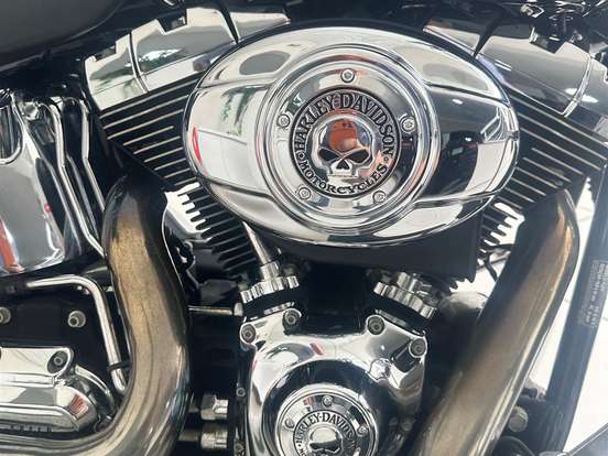 HARLEY-DAVIDSON-FAT BOY FLSTF HARLEY-DAVIDSON-FAT BOY FLSTF-2007