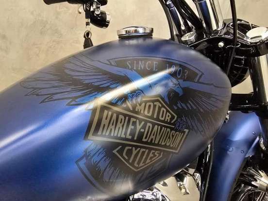 HARLEY-DAVIDSON-SOFTAIL BREAKOUT 114 115TH ANNIVERSARY-2018