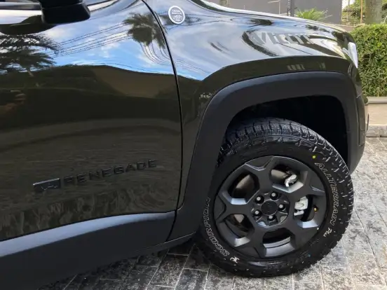 JEEP-RENEGADE-1.3 T270 TURBO FLEX WILLYS 4X4 AT9 JEEP-RENEGADE-2024