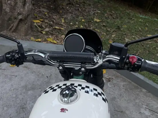 ROYAL ENFIELD-BEAR 650 ROYAL ENFIELD-BEAR 650-2026
