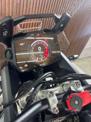 TRIUMPH-TIGER 900 RALLY PRO-2026