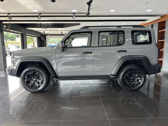 GWM-TANK 300-2025