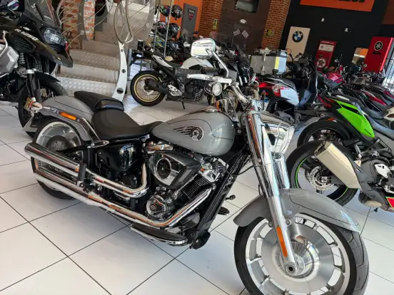 HARLEY-DAVIDSON-SOFTAIL FAT BOY 117 HARLEY-DAVIDSON-SOFTAIL FAT BOY 117-2025