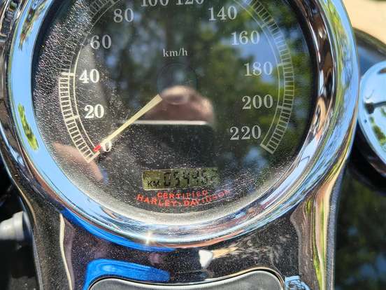 HARLEY-DAVIDSON-SOFTAIL DEUCE HARLEY-DAVIDSON-SOFTAIL DEUCE-2004