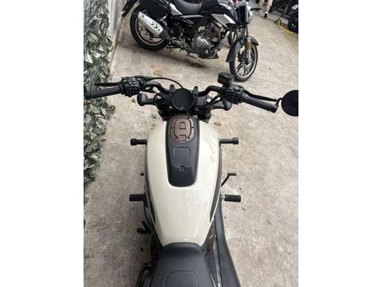 HARLEY-DAVIDSON-SPORTSTER S-2023