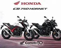 HONDA CB 750 HORNET HONDA CB 750 HORNET