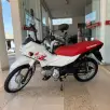 HONDA POP 110i HONDA POP 110i