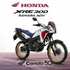 HONDA XRE 300 SAHARA ADVENTURE HONDA XRE 300 SAHARA ADVENTURE