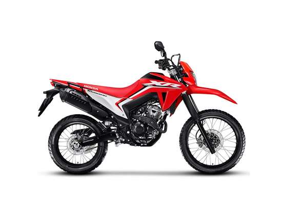 HONDA-XR 300L TORNADO-2025