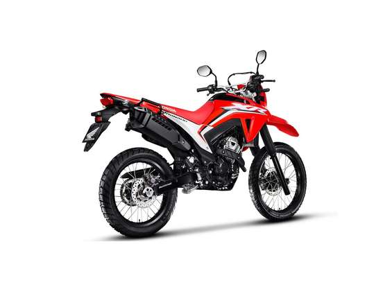 HONDA-XR 300L TORNADO HONDA-XR 300L TORNADO-2025
