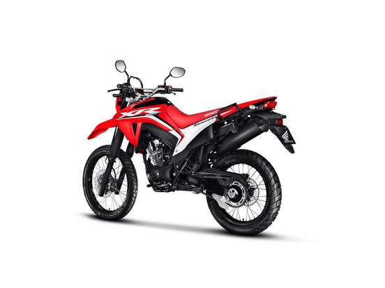 HONDA-XR 300L TORNADO-2025