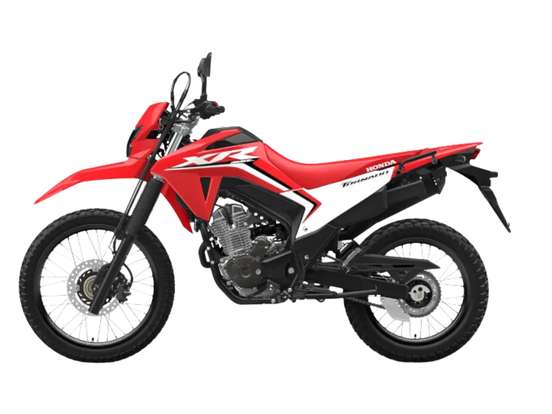 HONDA-XR 300L TORNADO HONDA-XR 300L TORNADO-2025