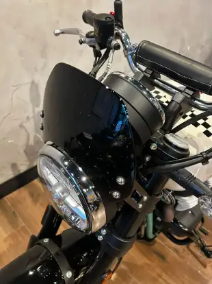 ROYAL ENFIELD-BEAR 650 ROYAL ENFIELD-BEAR 650-2026