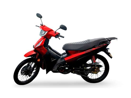 SHINERAY-PHOENIX S 50 SHINERAY-PHOENIX S 50-2026