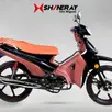 SHINERAY PHOENIX S 50 SHINERAY PHOENIX S 50