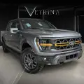 FORD F-150 5.0 V8 GASOLINA CD TREMOR FX4 AUTOMÁTICO FORD F-150 5.0 V8 GASOLINA CD TREMOR FX4 AUTOMÁTICO