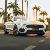 FORD MUSTANG 5.0 V8 TI-VCT GASOLINA MACH 1 SELECTSHIFT FORD MUSTANG 5.0 V8 TI-VCT GASOLINA MACH 1 SELECTSHIFT