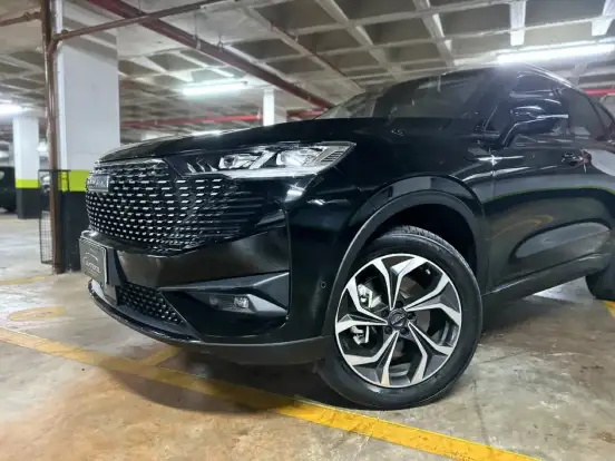 GWM-HAVAL H6-1.5 PHEV34 AWD E-TRACTION GWM-HAVAL H6-2024