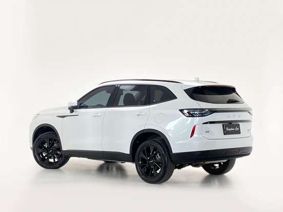 GWM-HAVAL H6-2025