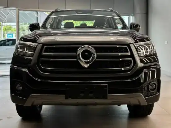 GWM-POER P30-2026