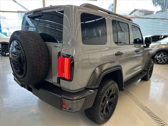 GWM-TANK 300-2025