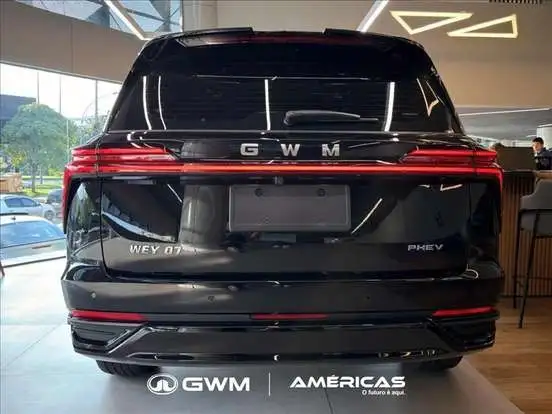 GWM-WEY 07-2026