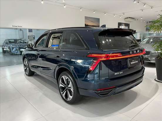 GWM-WEY 07-2025