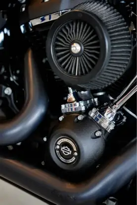 HARLEY-DAVIDSON-SOFTAIL FAT BOB 114-2017