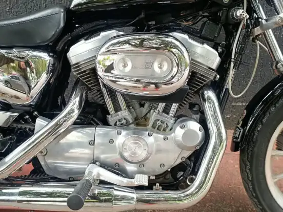 HARLEY-DAVIDSON-SPORTSTER XL 883 HARLEY-DAVIDSON-SPORTSTER XL 883-2005