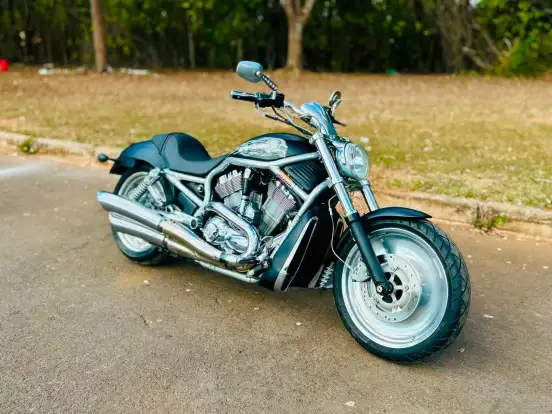 HARLEY-DAVIDSON-V-ROD HARLEY-DAVIDSON-V-ROD-2005