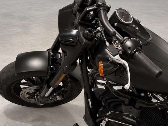 HARLEY-DAVIDSON-SOFTAIL FAT BOB 114 HARLEY-DAVIDSON-SOFTAIL FAT BOB 114-2019
