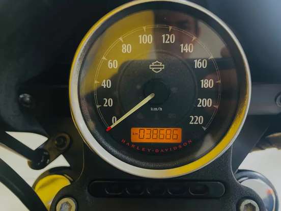 HARLEY-DAVIDSON-SPORTSTER IRON 1200-2019