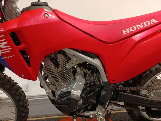 HONDA-CRF 300F-2025