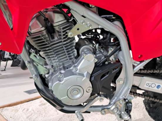 HONDA-CRF 300F HONDA-CRF 300F-2026