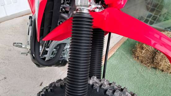 HONDA-CRF 300F-2026