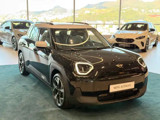 MINI-ACEMAN-2025