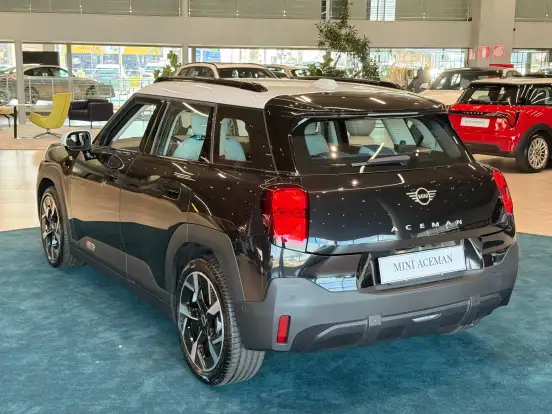 MINI-ACEMAN-2025