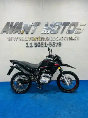 SHINERAY-SHI 175-2024