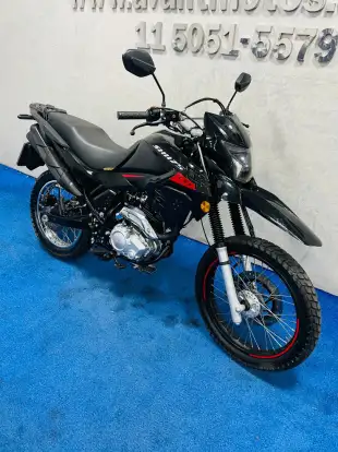 SHINERAY-SHI 175-2024